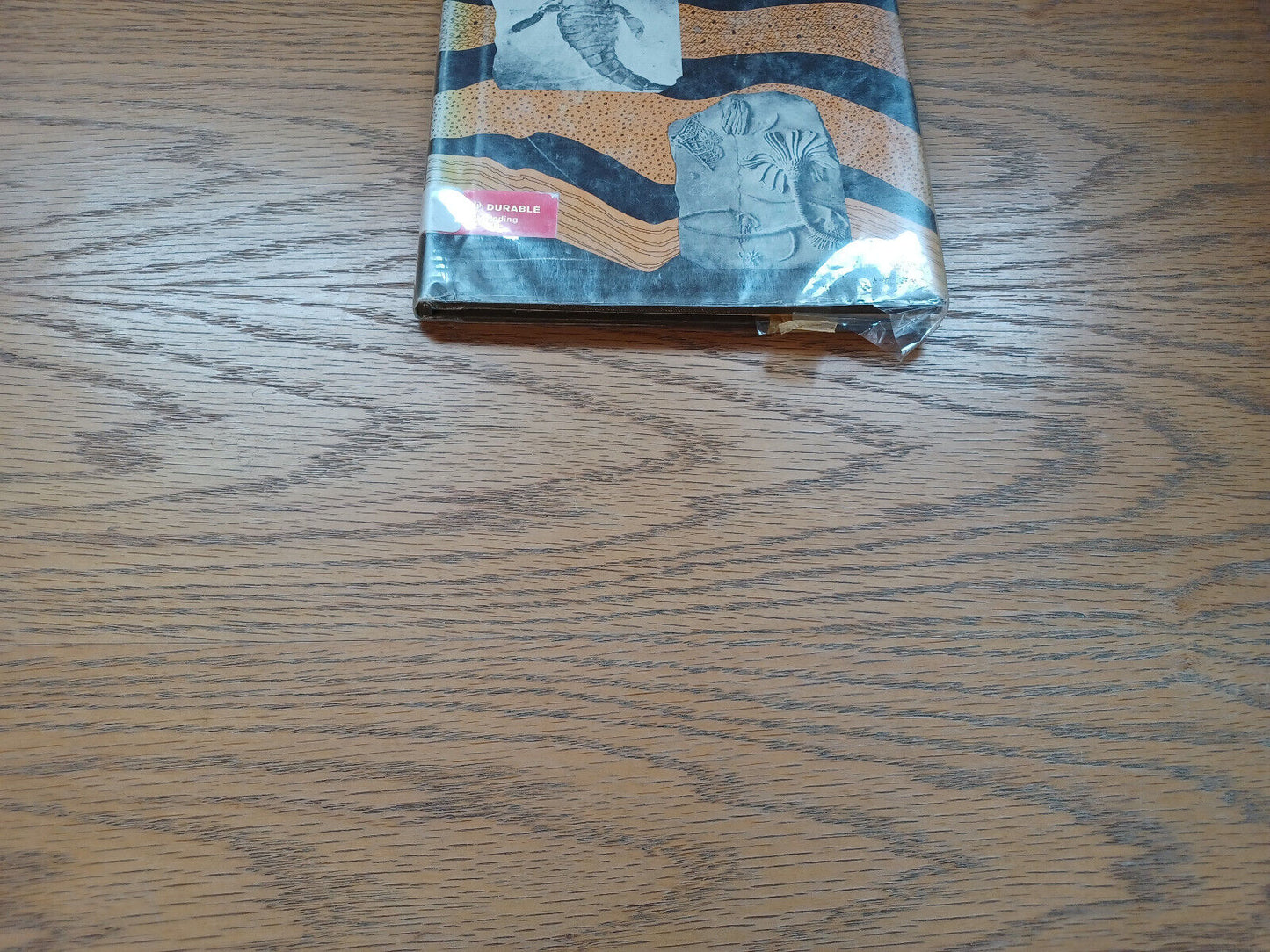 Wonders Of Fossils By William Matthew Iii 1968 Dust Jacket