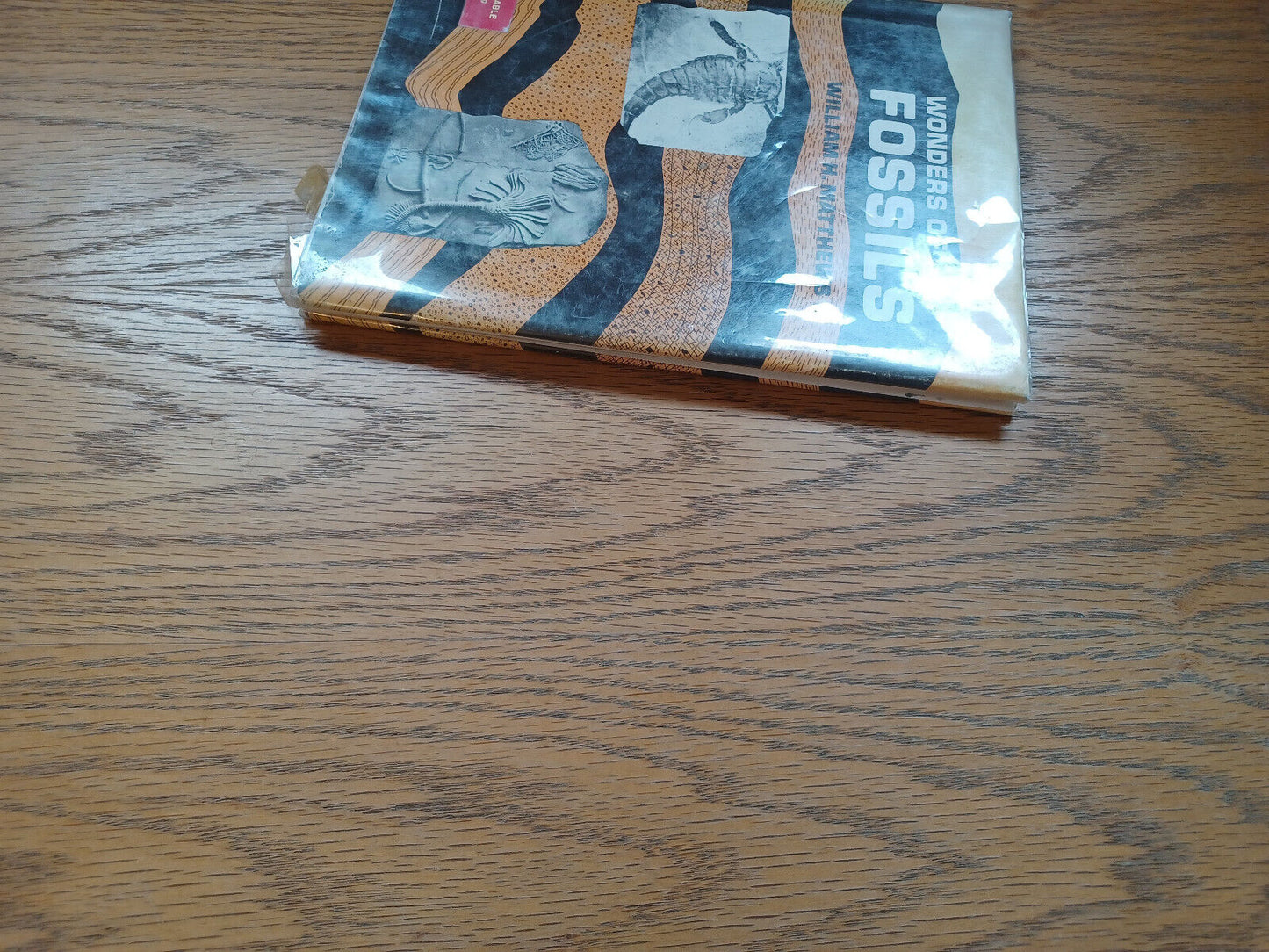 Wonders Of Fossils By William Matthew Iii 1968 Dust Jacket