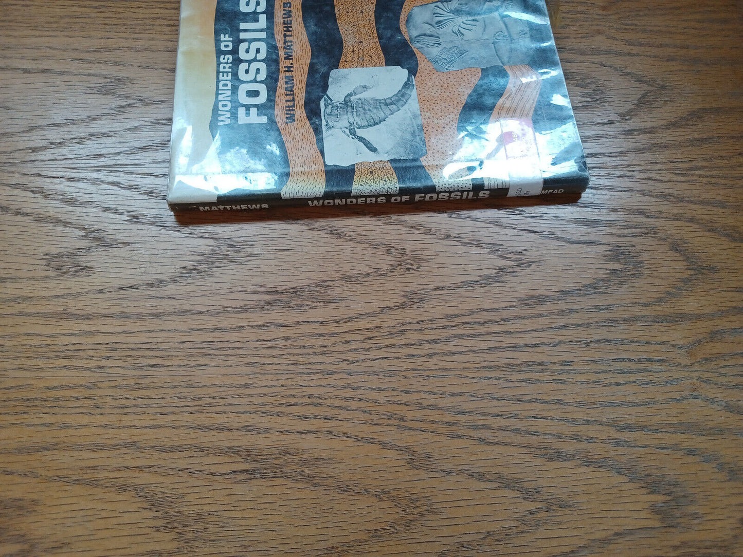 Wonders Of Fossils By William Matthew Iii 1968 Dust Jacket
