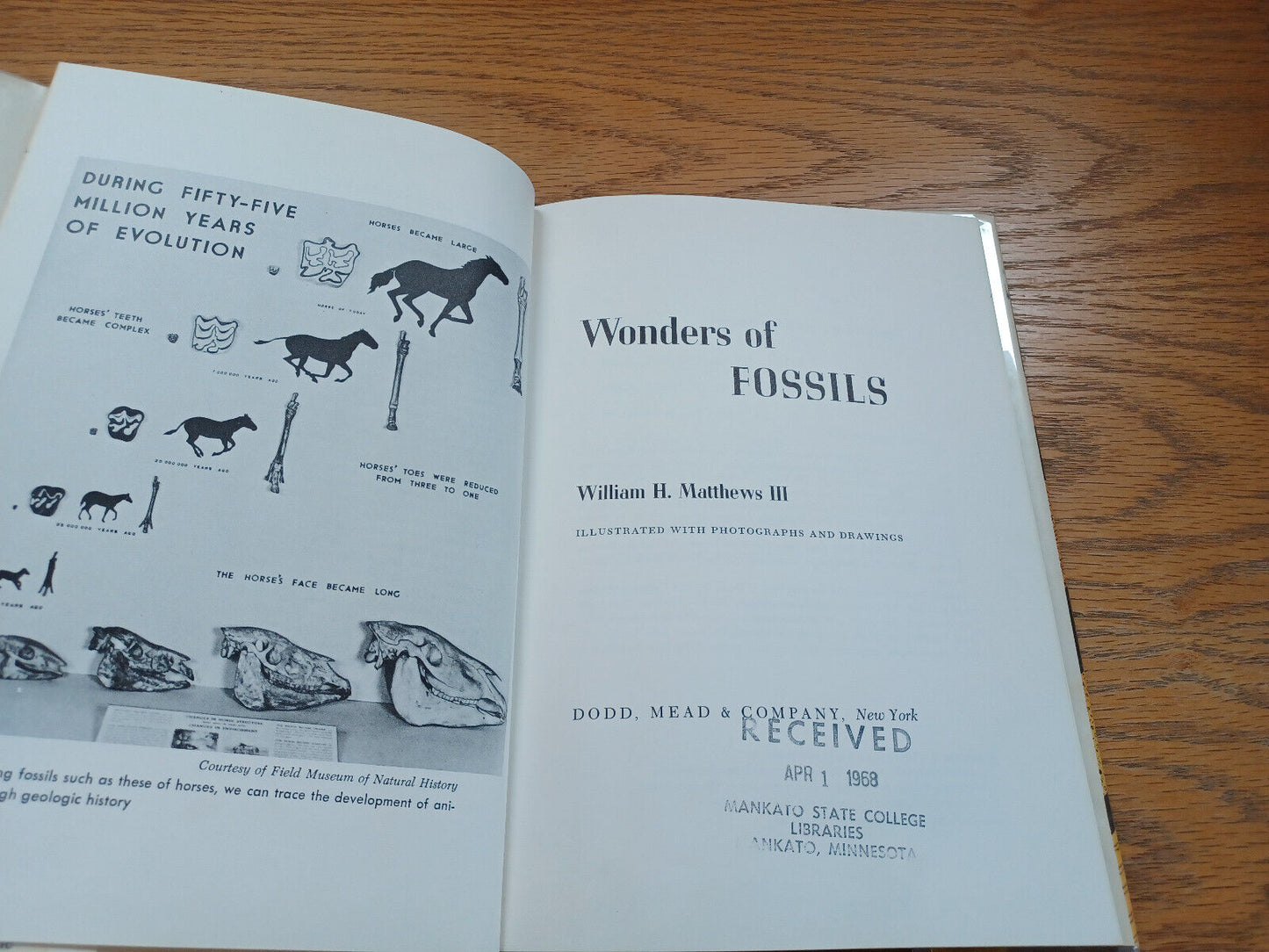 Wonders Of Fossils By William Matthew Iii 1968 Dust Jacket