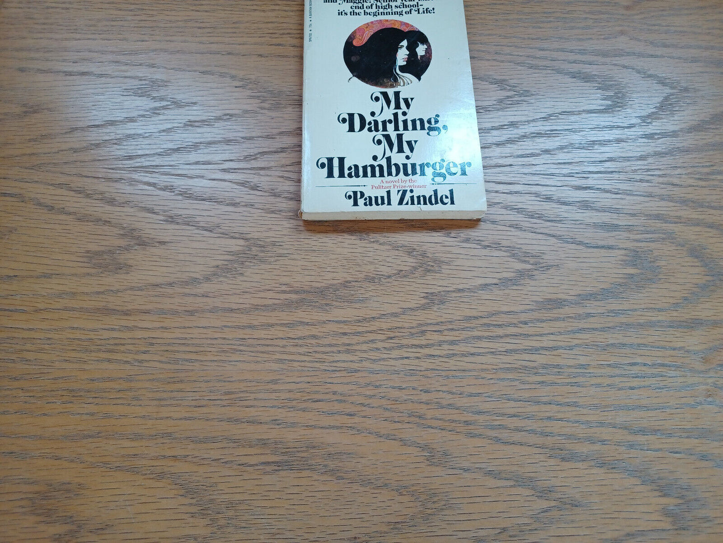 My Darling My Hamburger Paul Zindel 1971