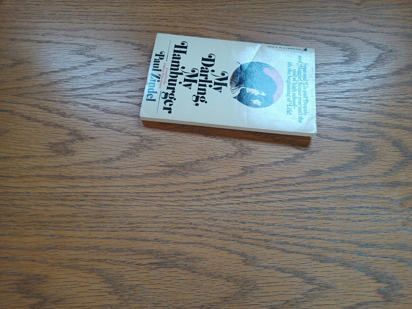 My Darling My Hamburger Paul Zindel 1971