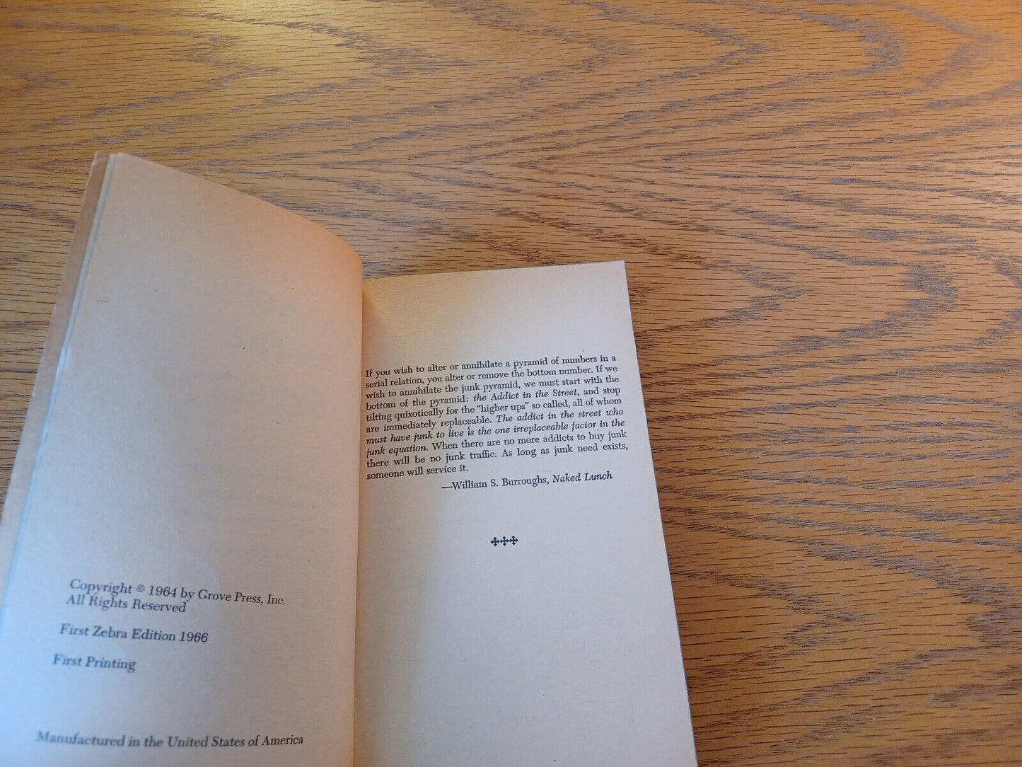 The Addict In The Street Jeremy Larner 1966 Ralph Tefferteller Grove Press Paper