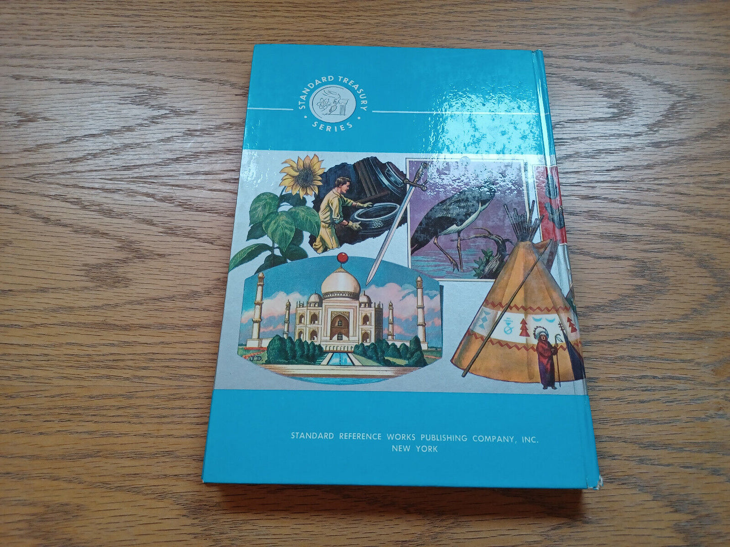 Standard Treasury Of Learning Funk Wagnalls Dictionary Young People Vol 18 1960