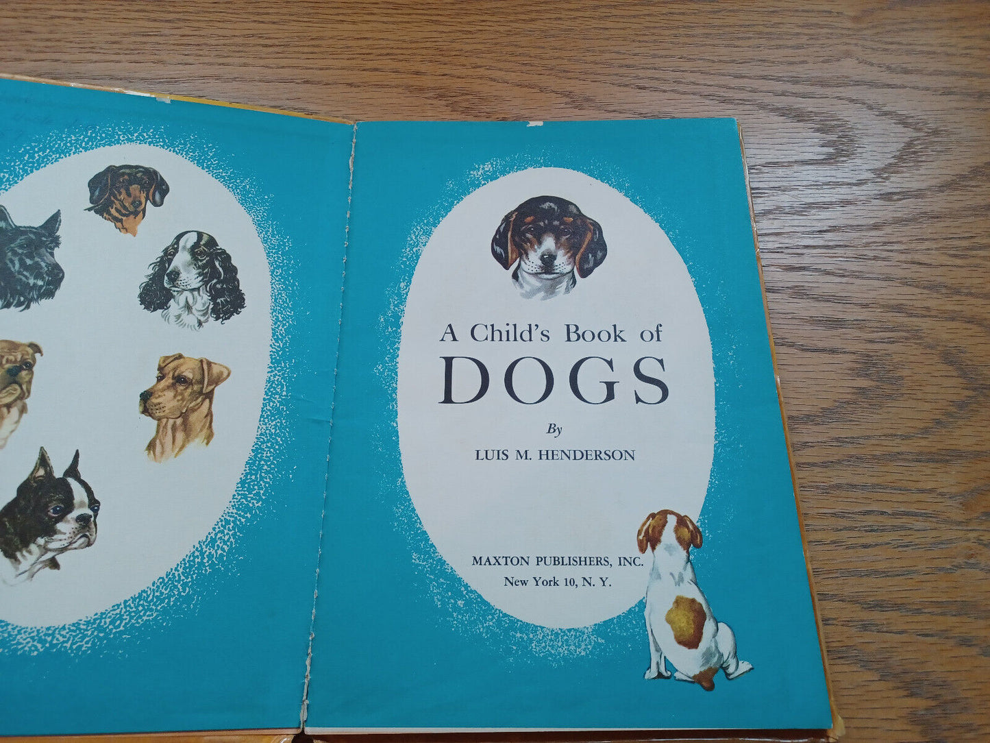 A Child'S Book Of Dogs By Luis Henderson 1950
