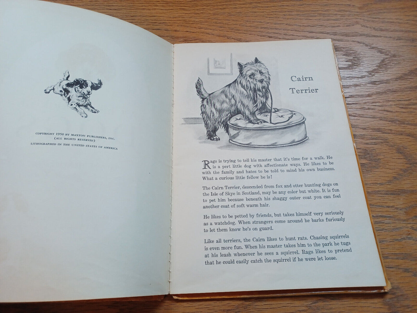 A Child'S Book Of Dogs By Luis Henderson 1950