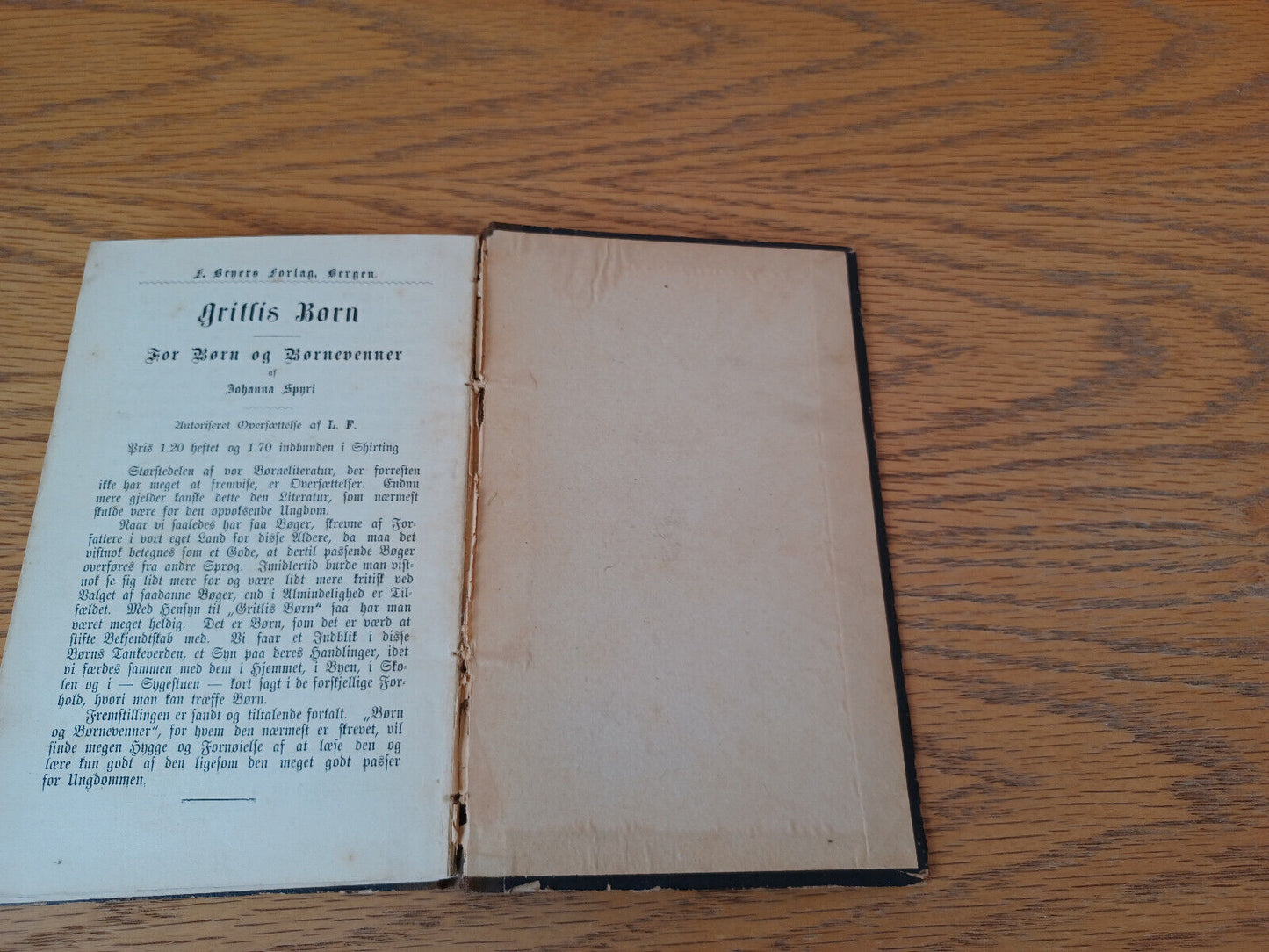 Lidt Af Hvert Af Og For Livet E Freyer 1884 F Beyers Danish Hardcover