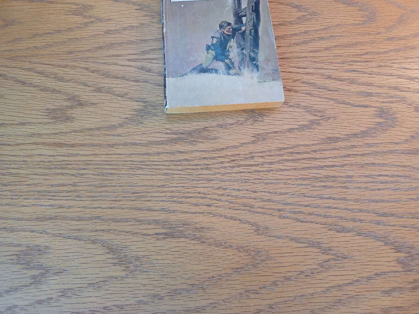 The Warrior Wade Everett 1967 Paperback Ballantine Books