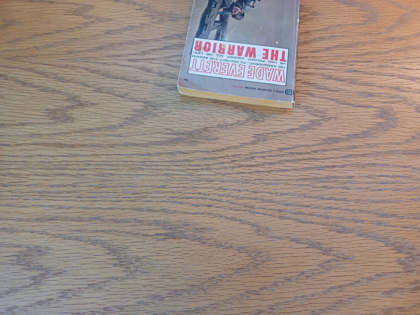 The Warrior Wade Everett 1967 Paperback Ballantine Books