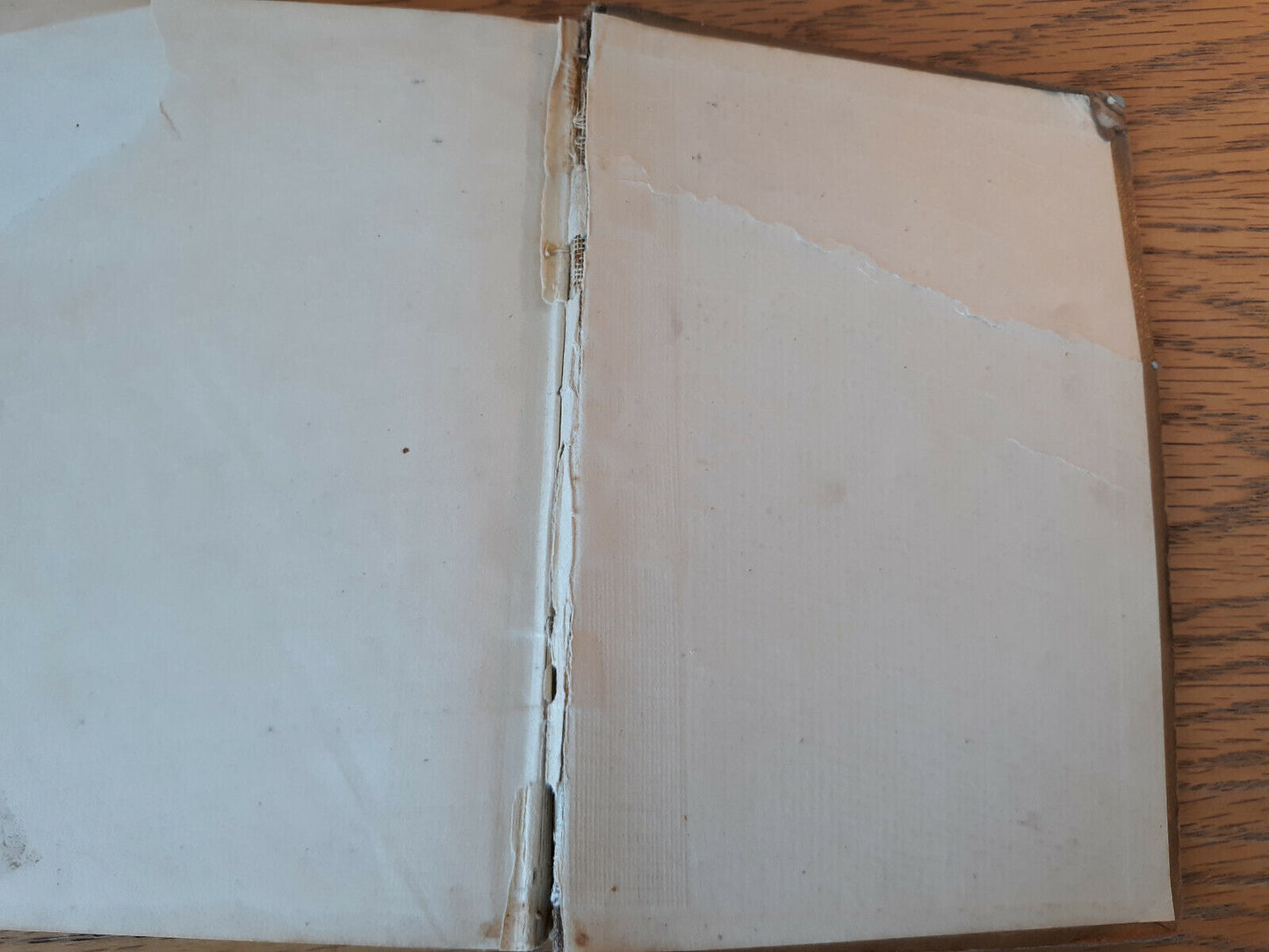 Methodist Hymnal With Tunes Special Edition 1878 Hardcover Western Methodist Boo