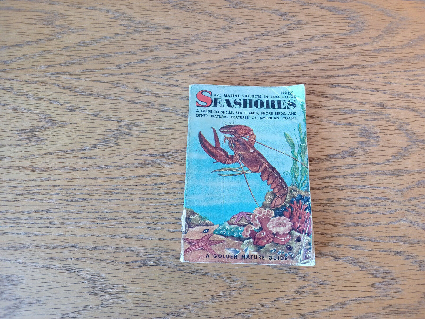 Seashores Herbert S Zim 1955 A Guide To Animals And Plants Along The Beaches