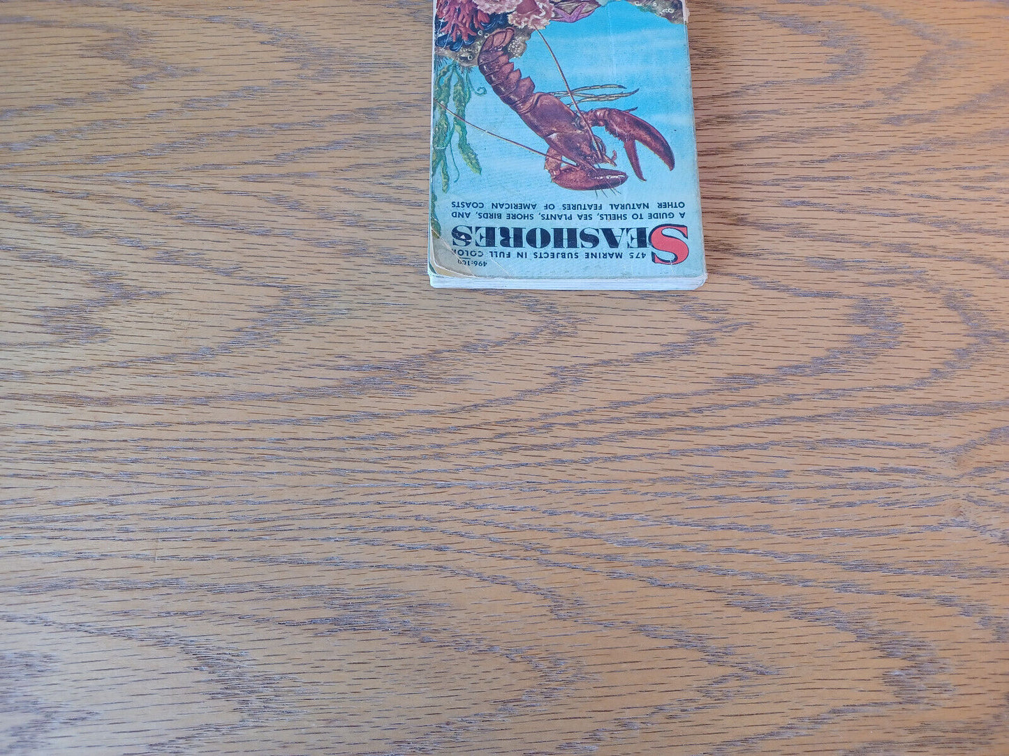 Seashores Herbert S Zim 1955 A Guide To Animals And Plants Along The Beaches