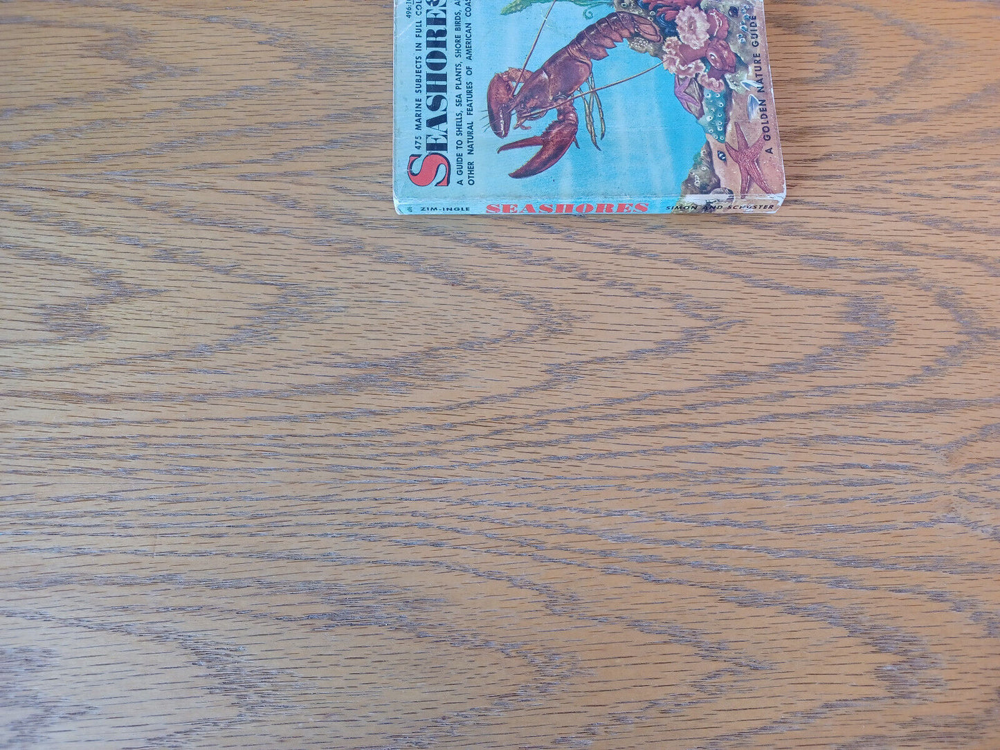 Seashores Herbert S Zim 1955 A Guide To Animals And Plants Along The Beaches