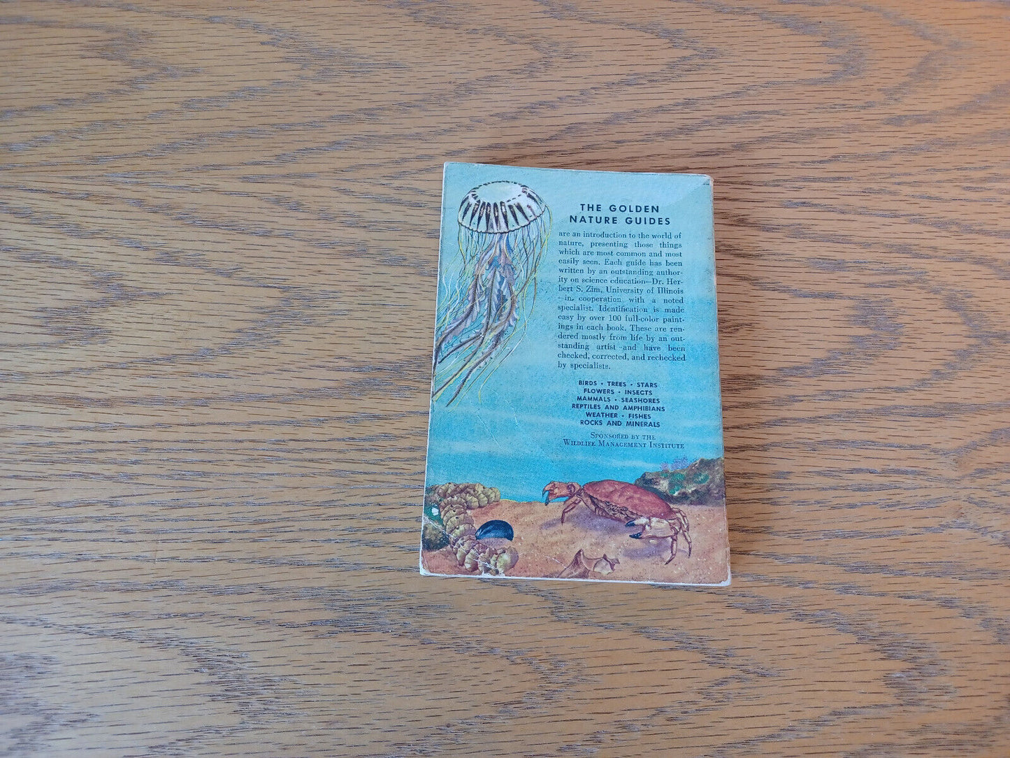 Seashores Herbert S Zim 1955 A Guide To Animals And Plants Along The Beaches