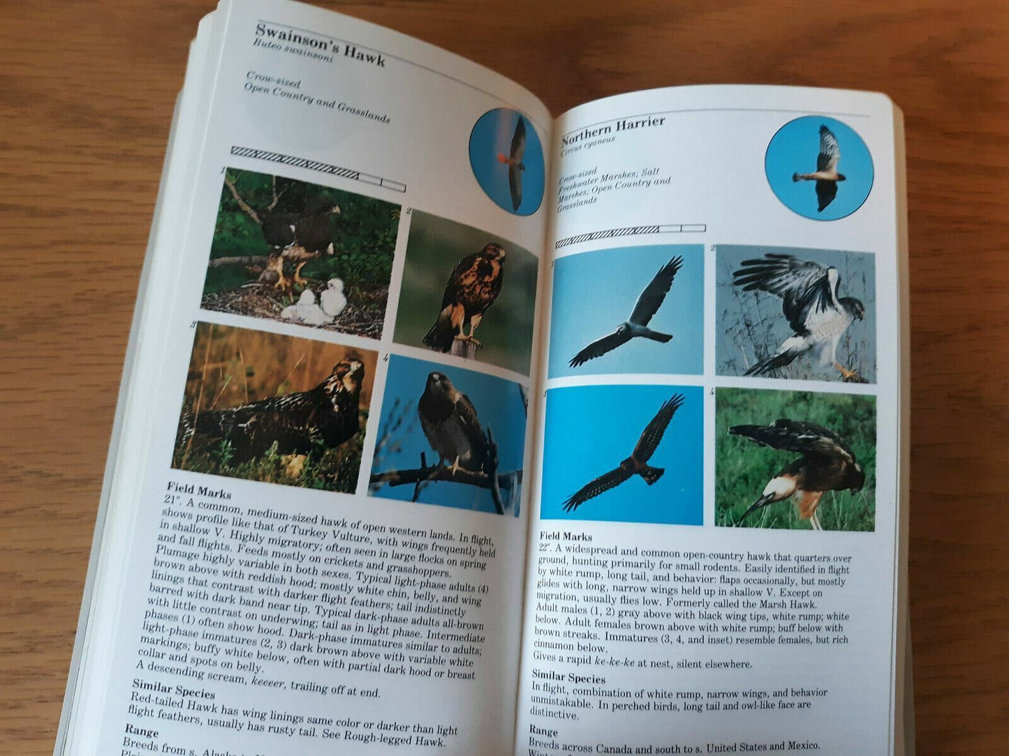 1988 Eastern Birds AUDUBON HANDBOOK Field Guide