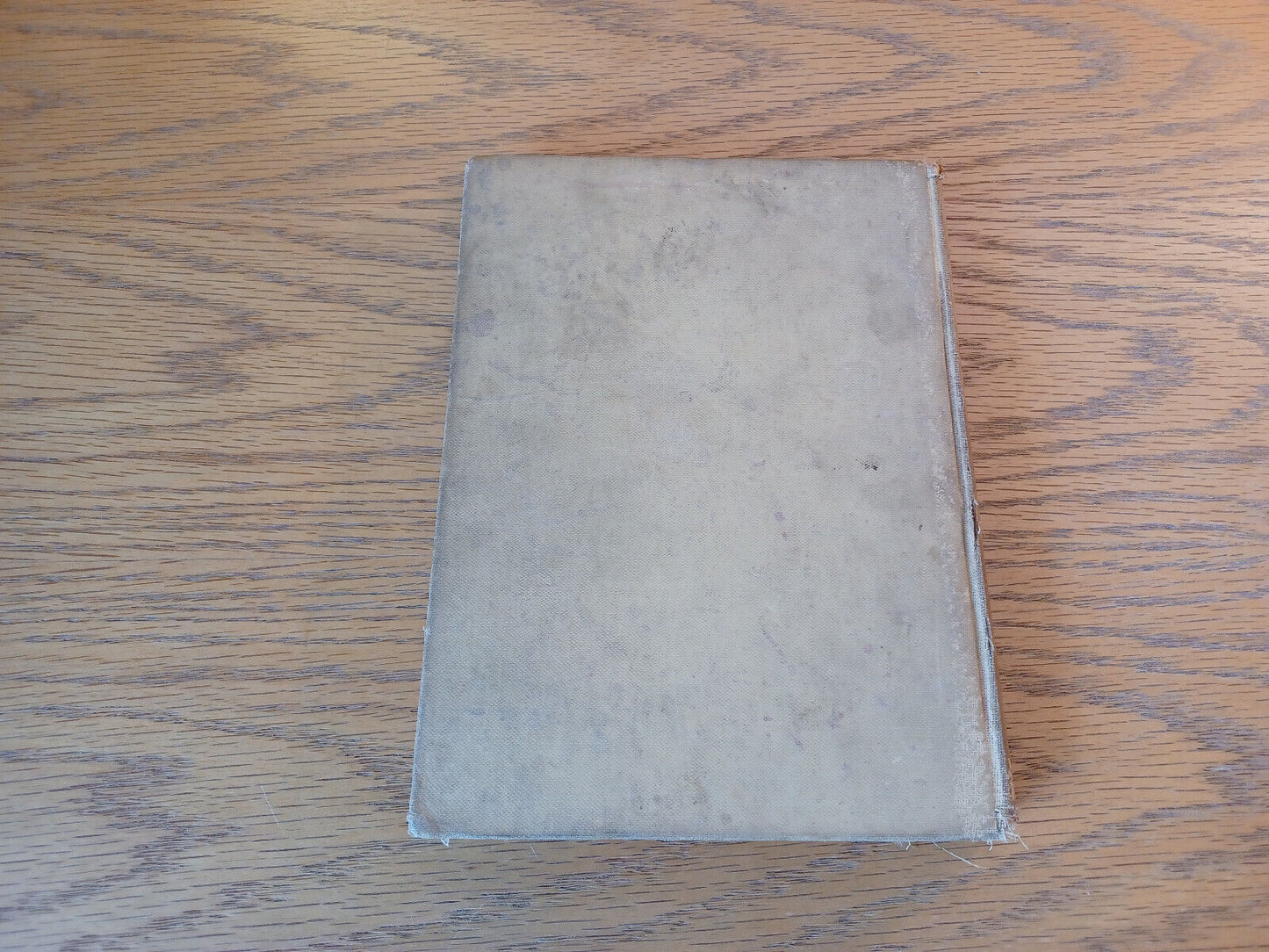 Gulliver's Travels J C G 1895 Original Dean Swift Hardcover A. L. Burt Company