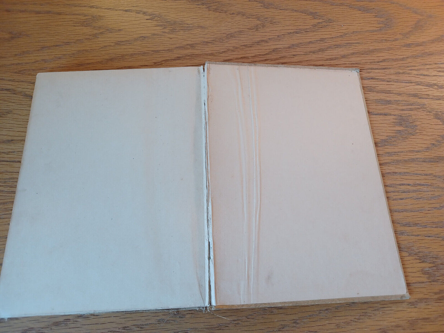 Gulliver's Travels J C G 1895 Original Dean Swift Hardcover A. L. Burt Company