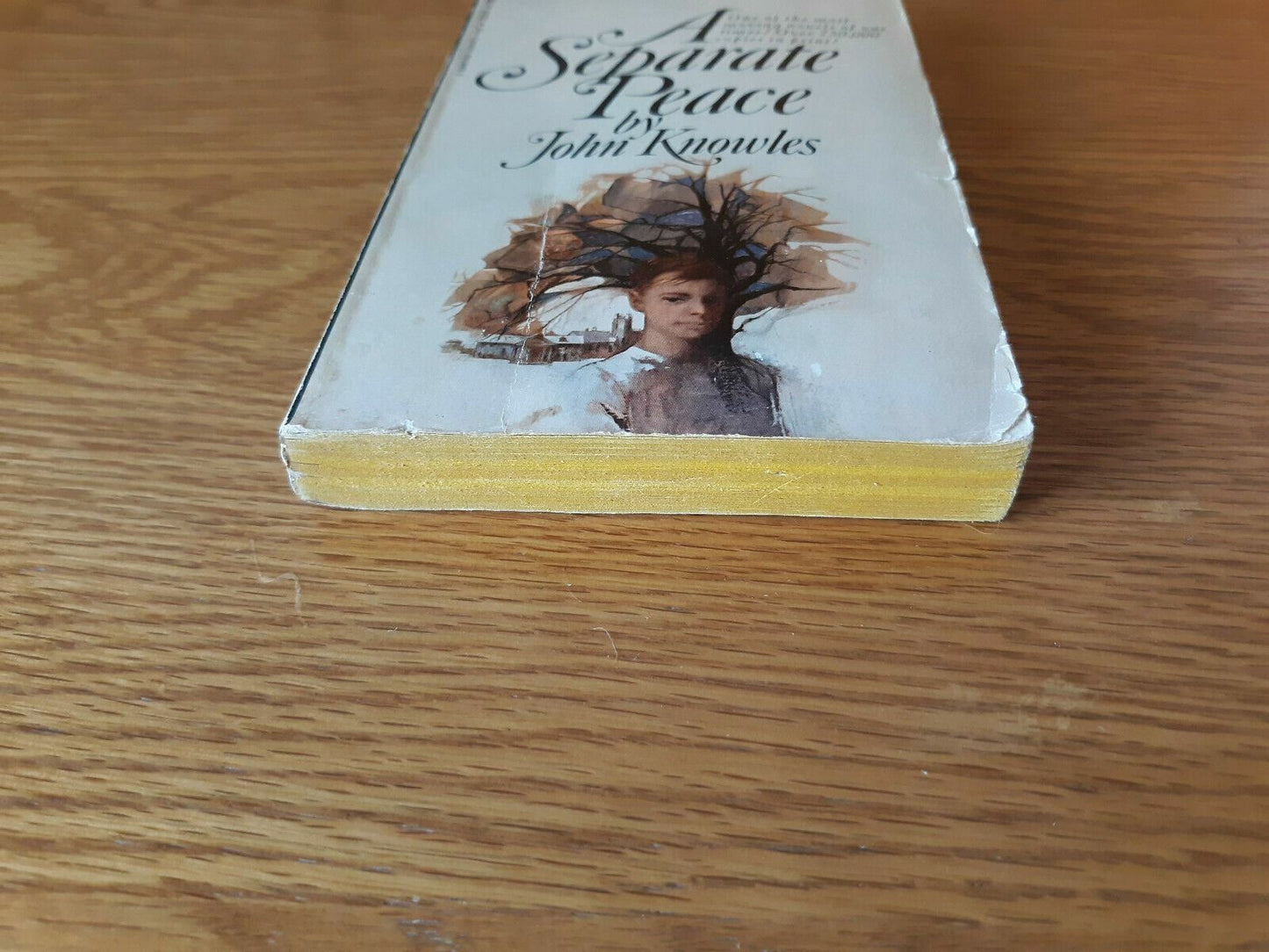 A Separate Peace - by John Knowles - 1968 Paperback Bantam