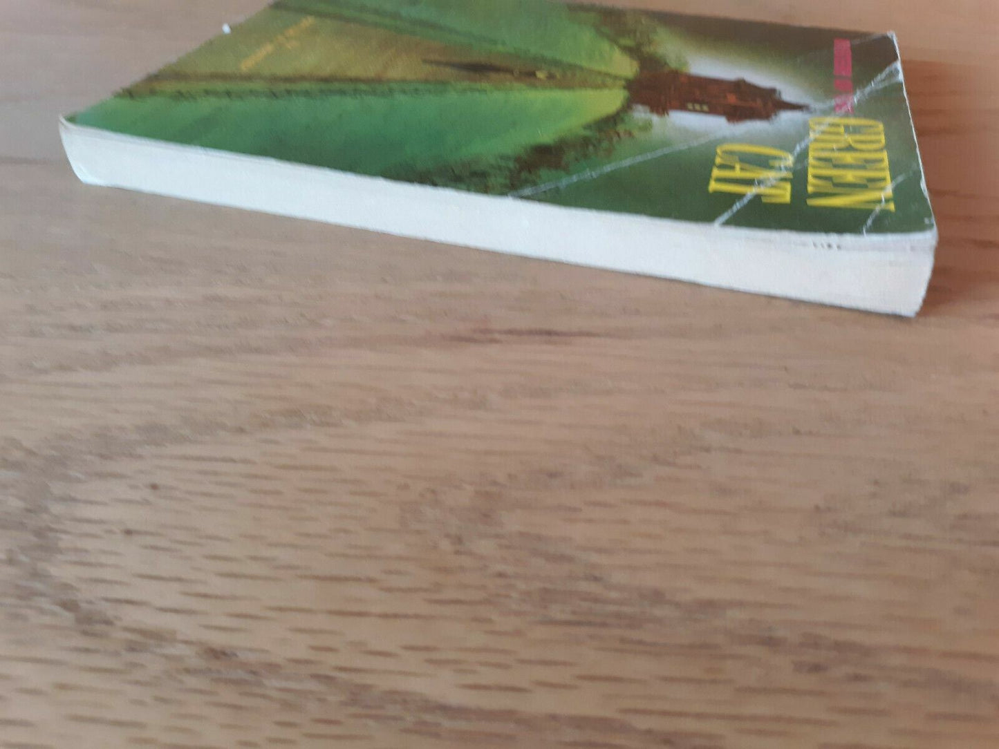 Mystery of the Green Cat by Phyllis A. Whitney 1959 Paperback
