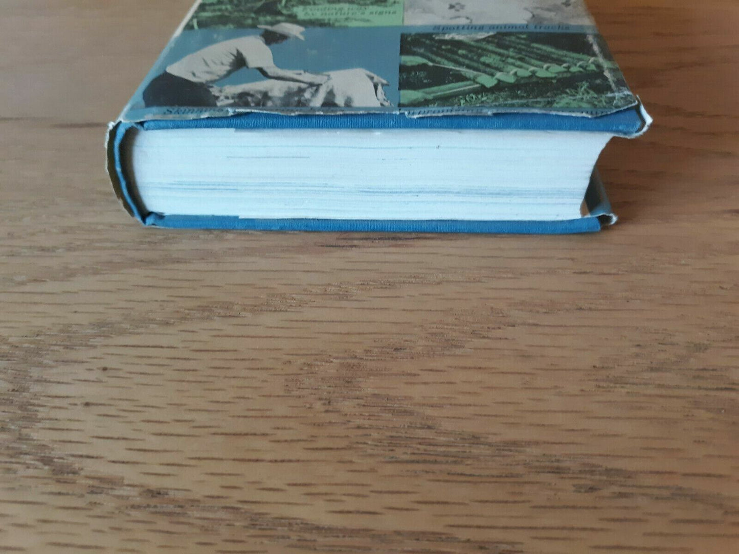 1964 Complete Book of Outdoor Lore By Clyde Ormond Hardcover Dust Jacket