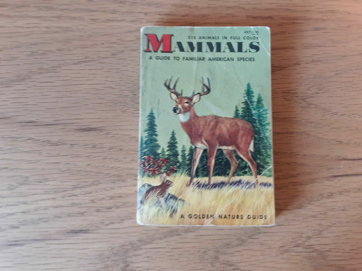 Mammals a Golden Nature Guide by Zim and Hoffmeister 1955
