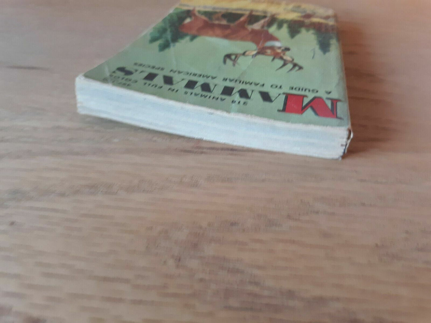 Mammals a Golden Nature Guide by Zim and Hoffmeister 1955