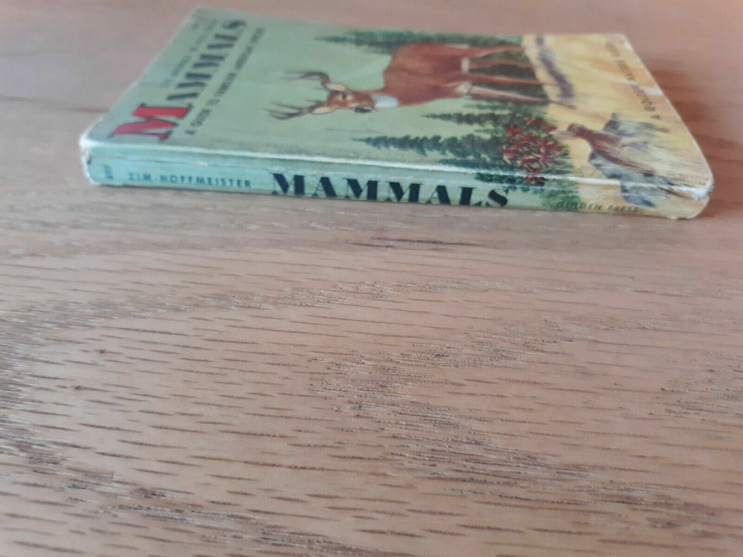 Mammals a Golden Nature Guide by Zim and Hoffmeister 1955