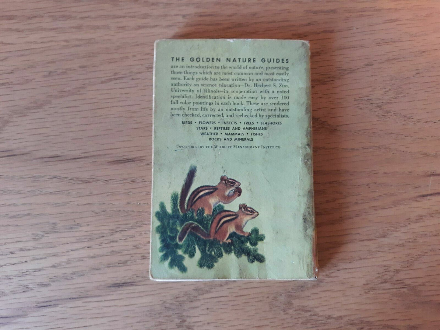 Mammals a Golden Nature Guide by Zim and Hoffmeister 1955