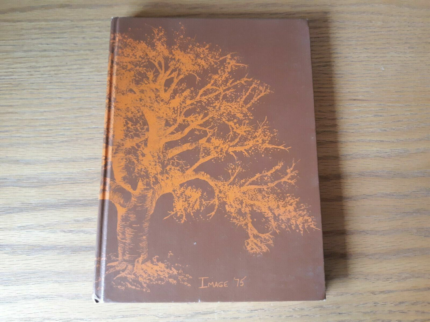 1975 Irondale High School yearbook New Brighton Minnesota