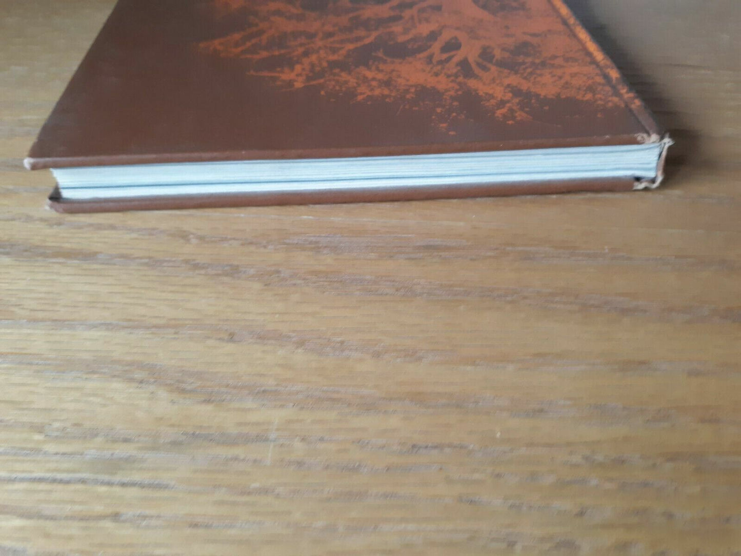 1975 Irondale High School yearbook New Brighton Minnesota