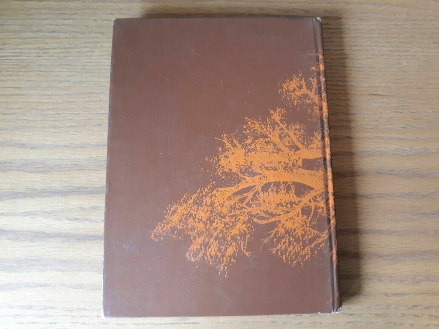 1975 Irondale High School yearbook New Brighton Minnesota