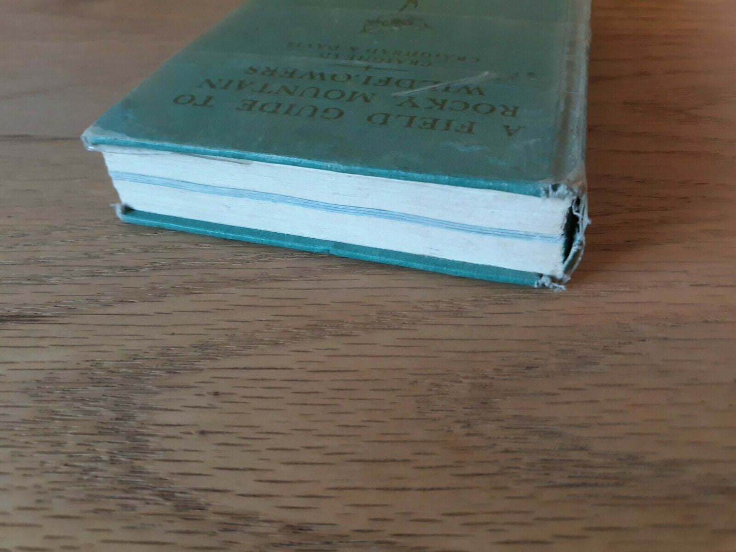 A Field Guide to Rocky Mountain Wildflowers by Craighead Craighead & Davis 1963