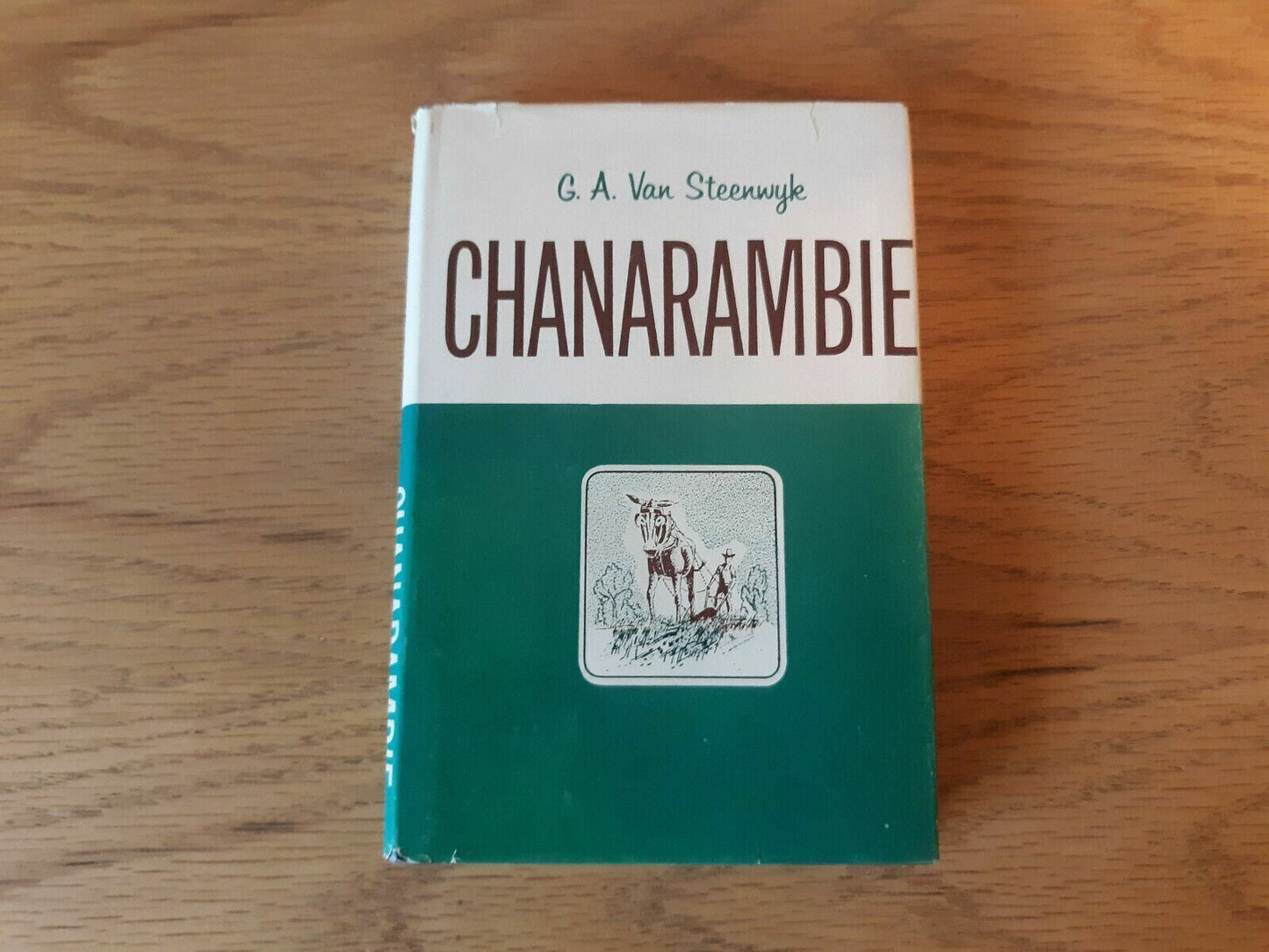 Chanarambie Hardcover Dust Jacket 1965 G. A. Van Steenwyk Vantage Press 1st Ed