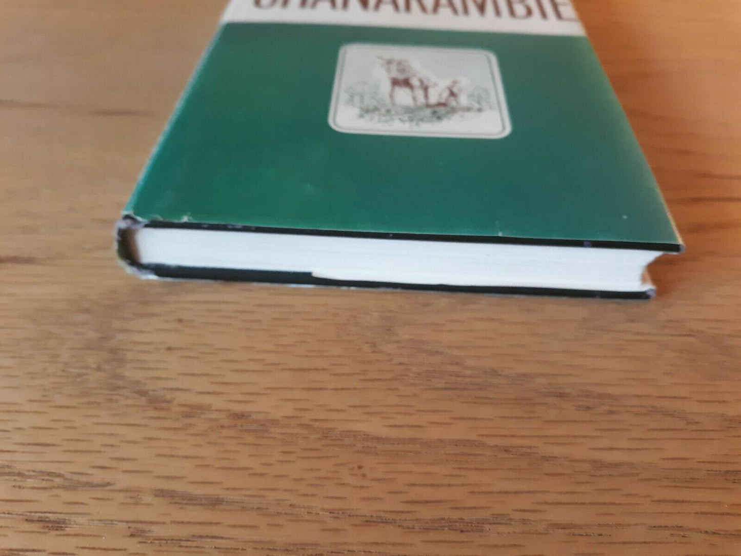 Chanarambie Hardcover Dust Jacket 1965 G. A. Van Steenwyk Vantage Press 1st Ed