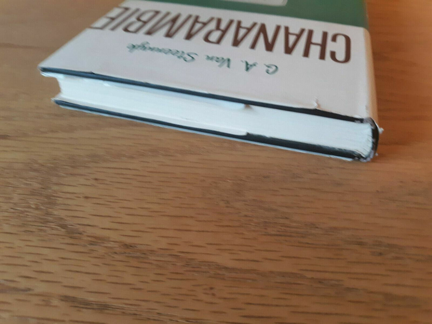 Chanarambie Hardcover Dust Jacket 1965 G. A. Van Steenwyk Vantage Press 1st Ed