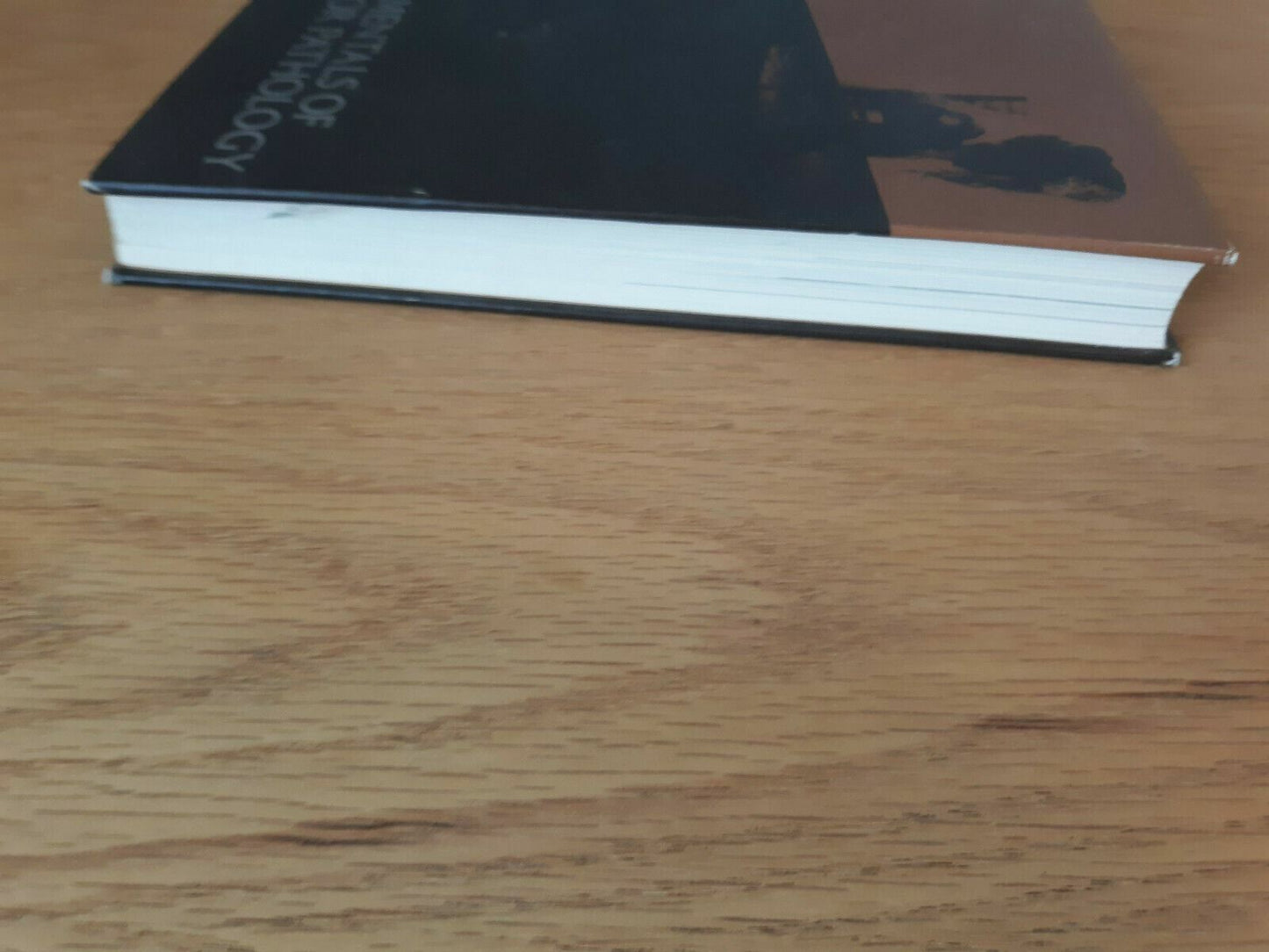 Fundamentals of Behavior Pathology by Richard Suinn 1970 Hardcover