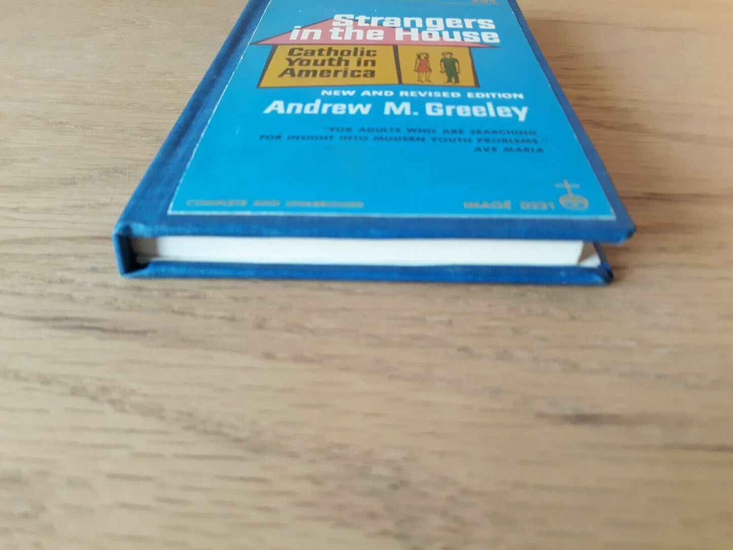 Strangers In The House by Andrew Greeley 1967