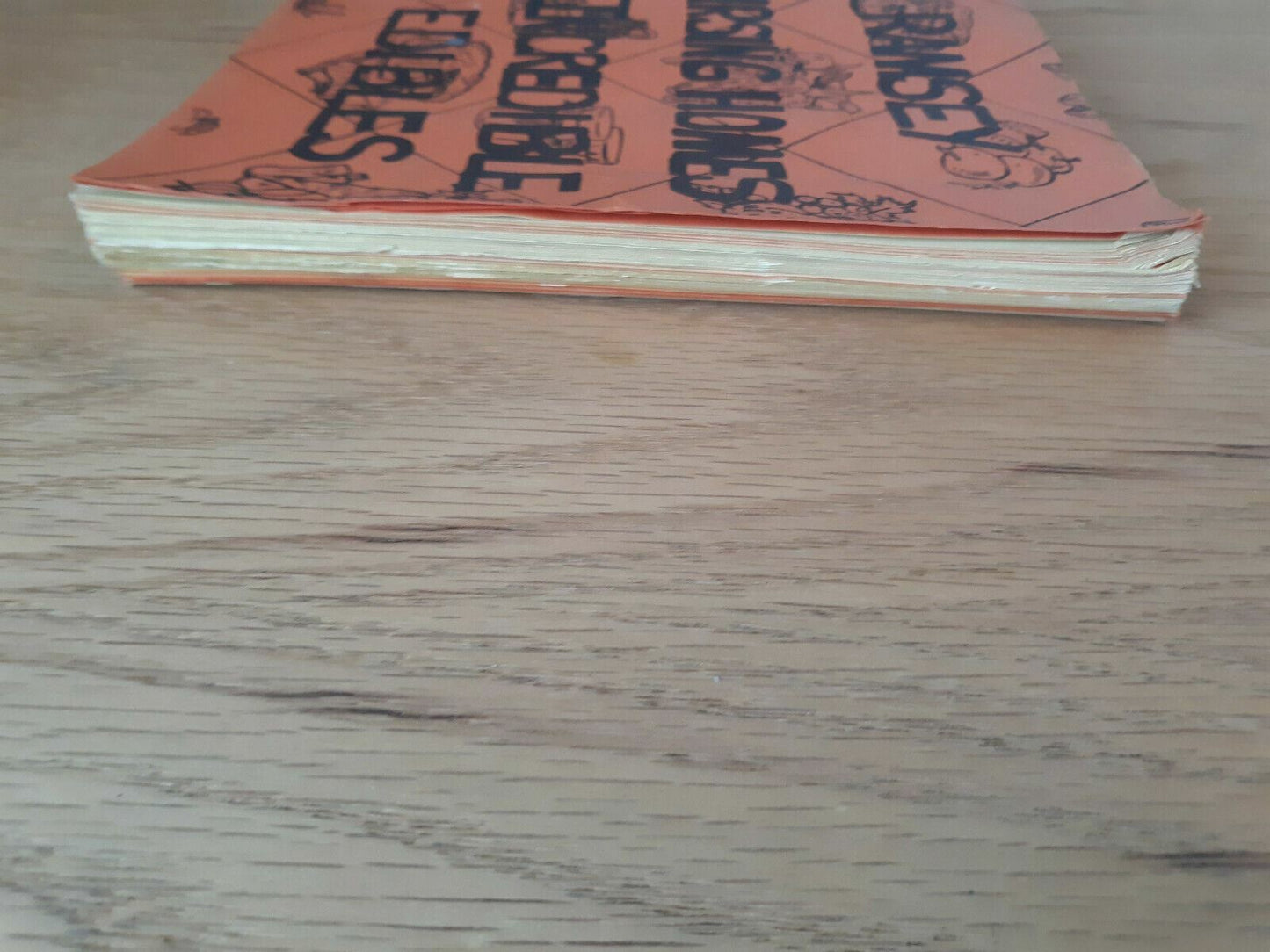 1982 Ramsey Nursing Homes Incredible Edibles St Paul MN Cookbook