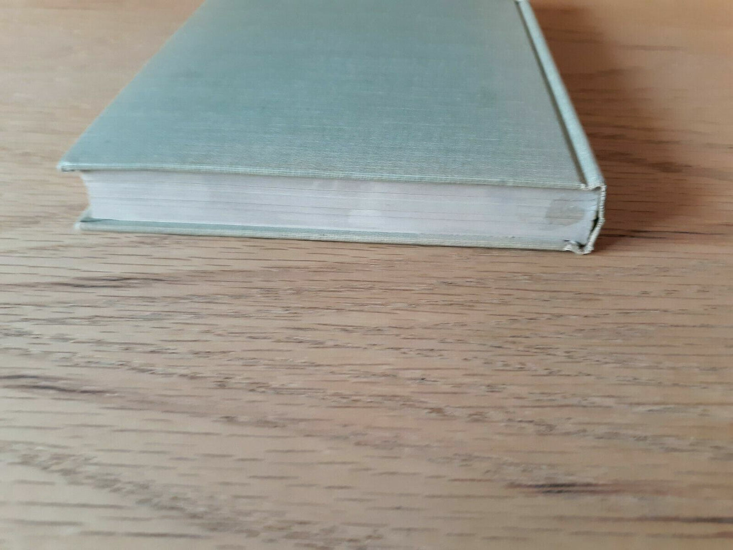 A Protestant speaks his mind by Jones, Ilion Tingnal Hardcover