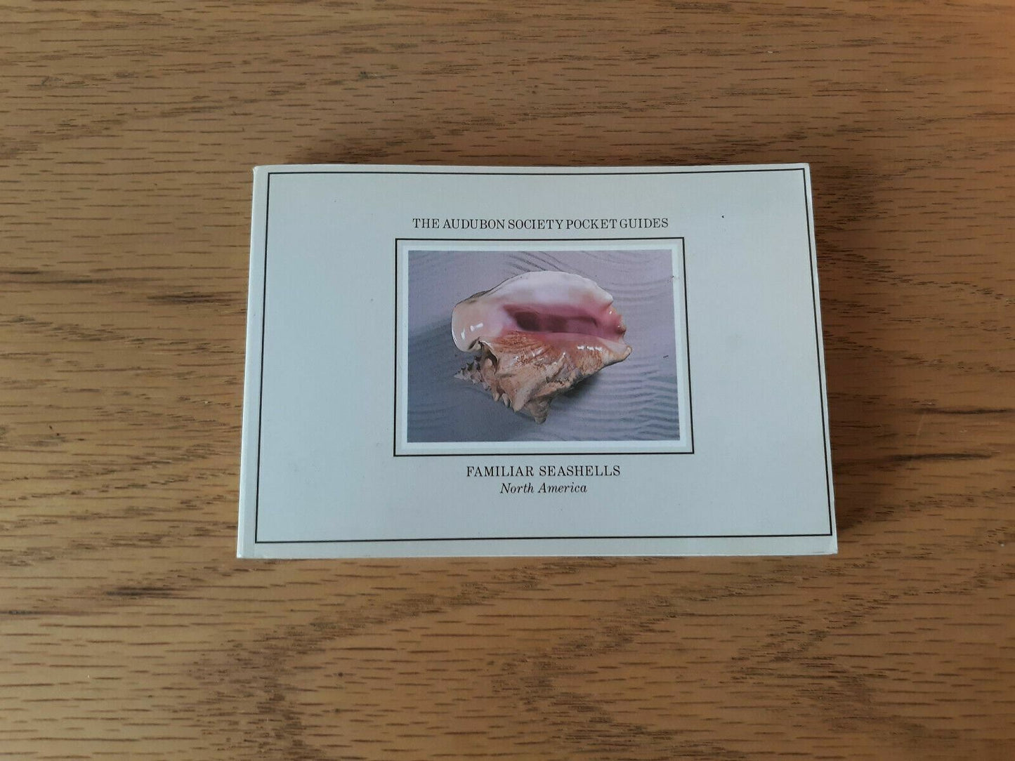 The Audubon Society Pocket Guides Familiar Seashells North America