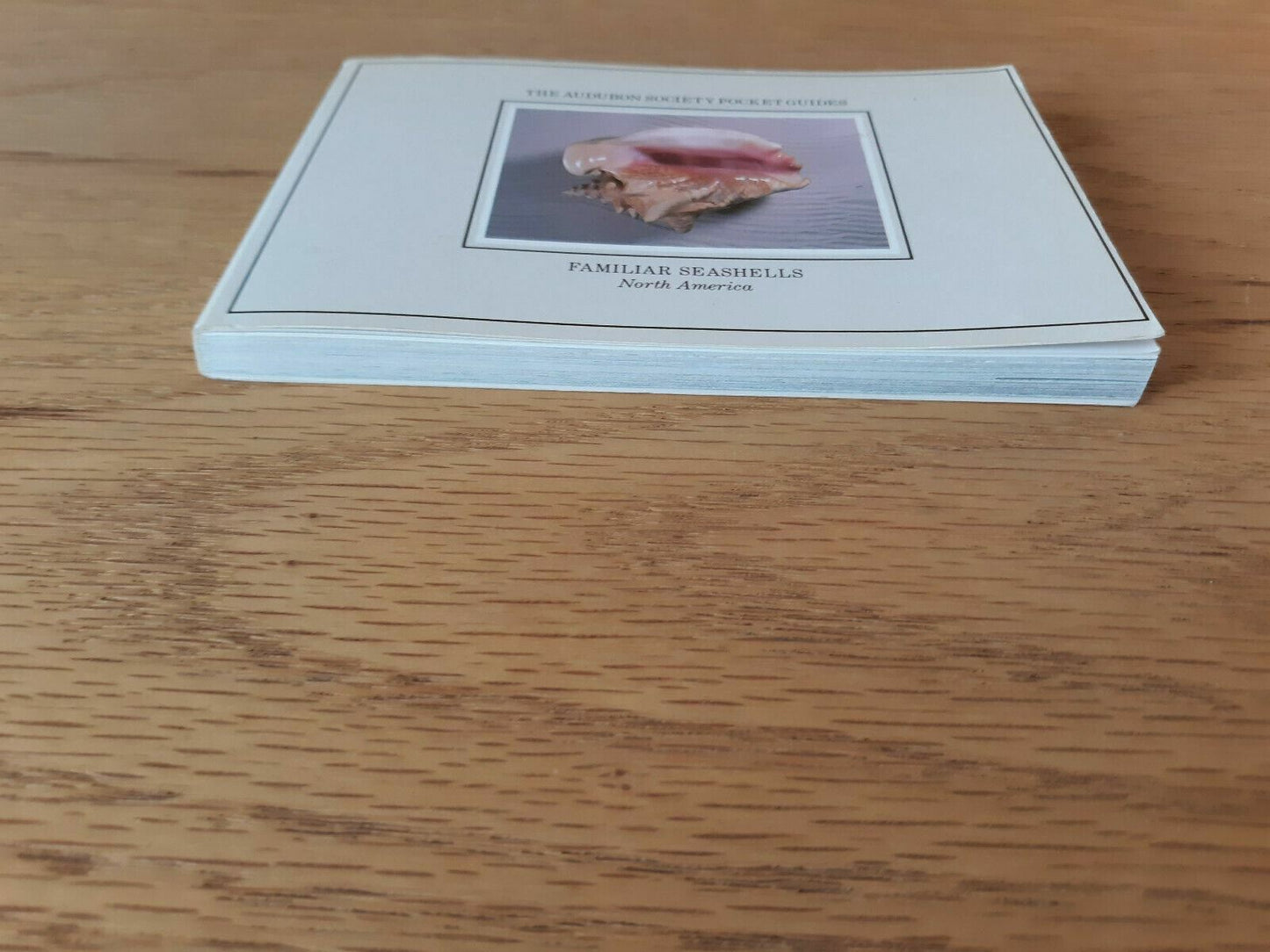 The Audubon Society Pocket Guides Familiar Seashells North America