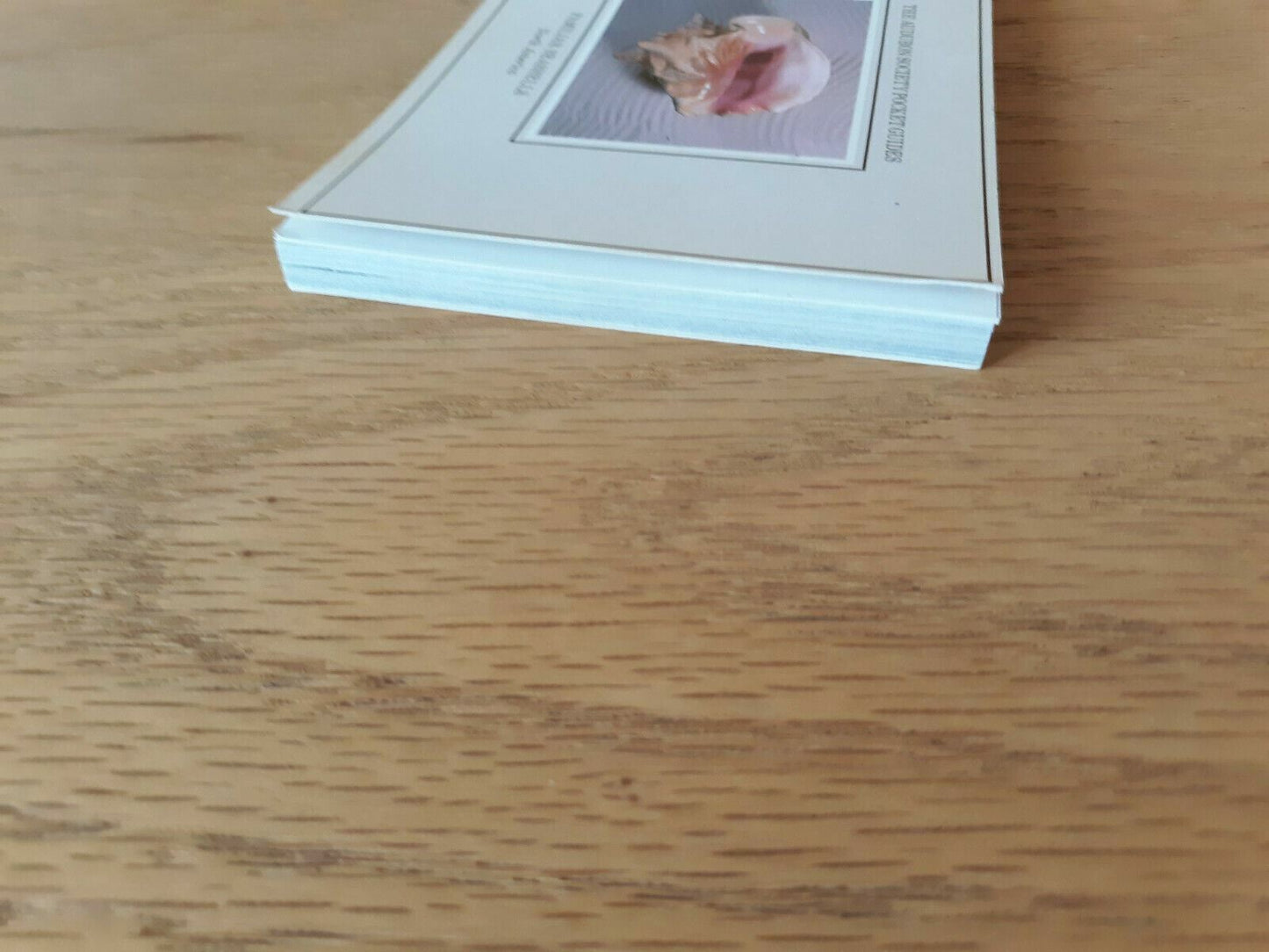 The Audubon Society Pocket Guides Familiar Seashells North America
