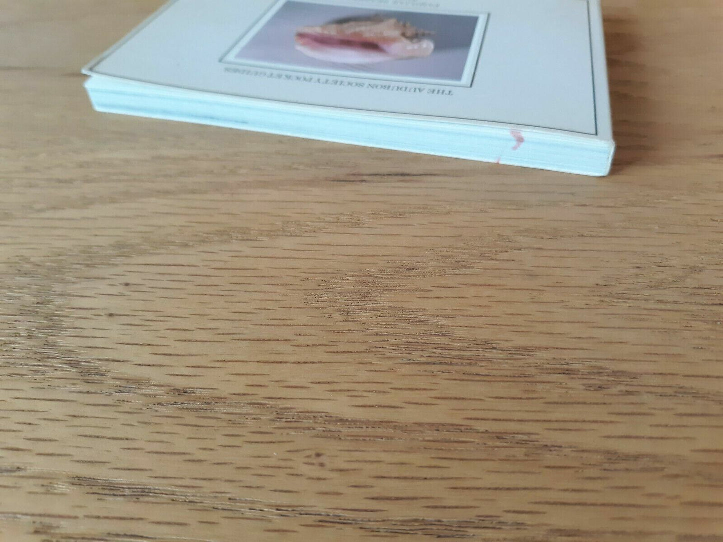 The Audubon Society Pocket Guides Familiar Seashells North America