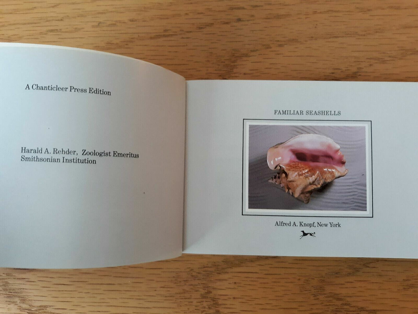 The Audubon Society Pocket Guides Familiar Seashells North America