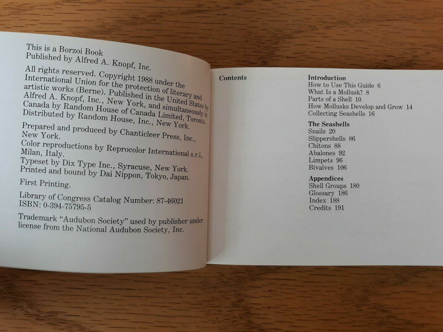 The Audubon Society Pocket Guides Familiar Seashells North America