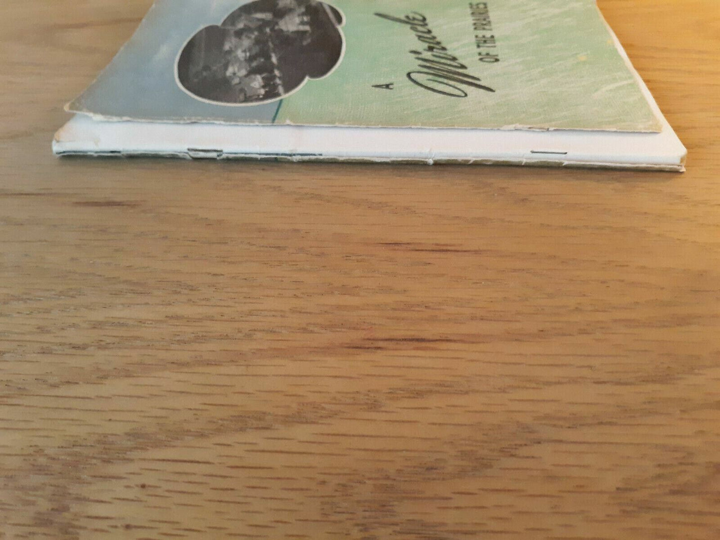 A Miracle of the prairies: A story of the Bethphage Mission 1944 Arthur Christe