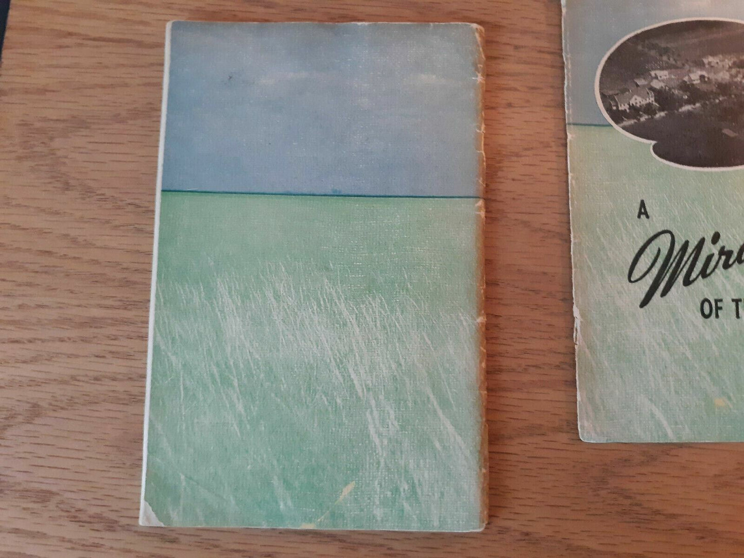 A Miracle of the prairies: A story of the Bethphage Mission 1944 Arthur Christe