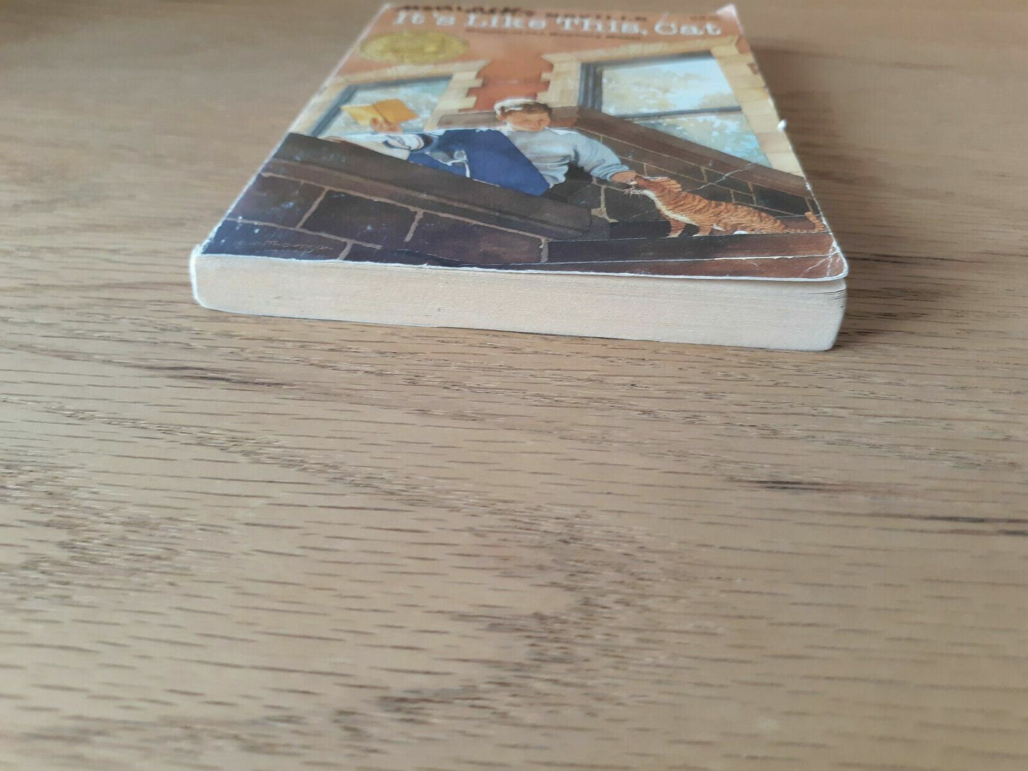 1963 Paperback It's Like This, Cat by Emily Neville