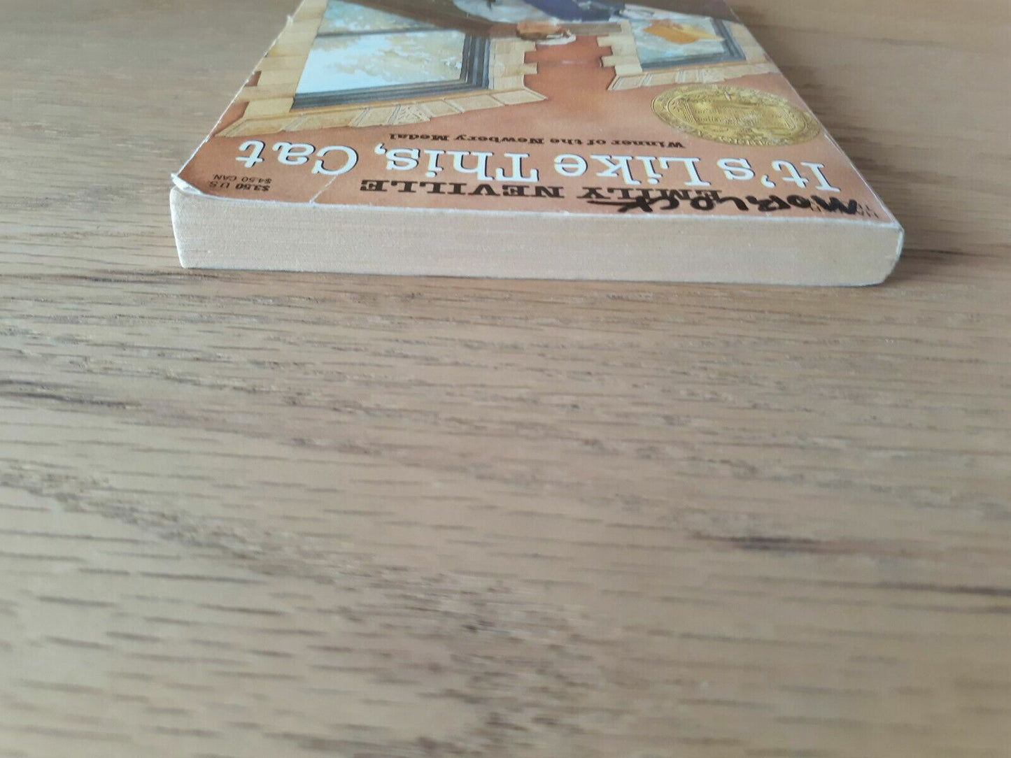 1963 Paperback It's Like This, Cat by Emily Neville
