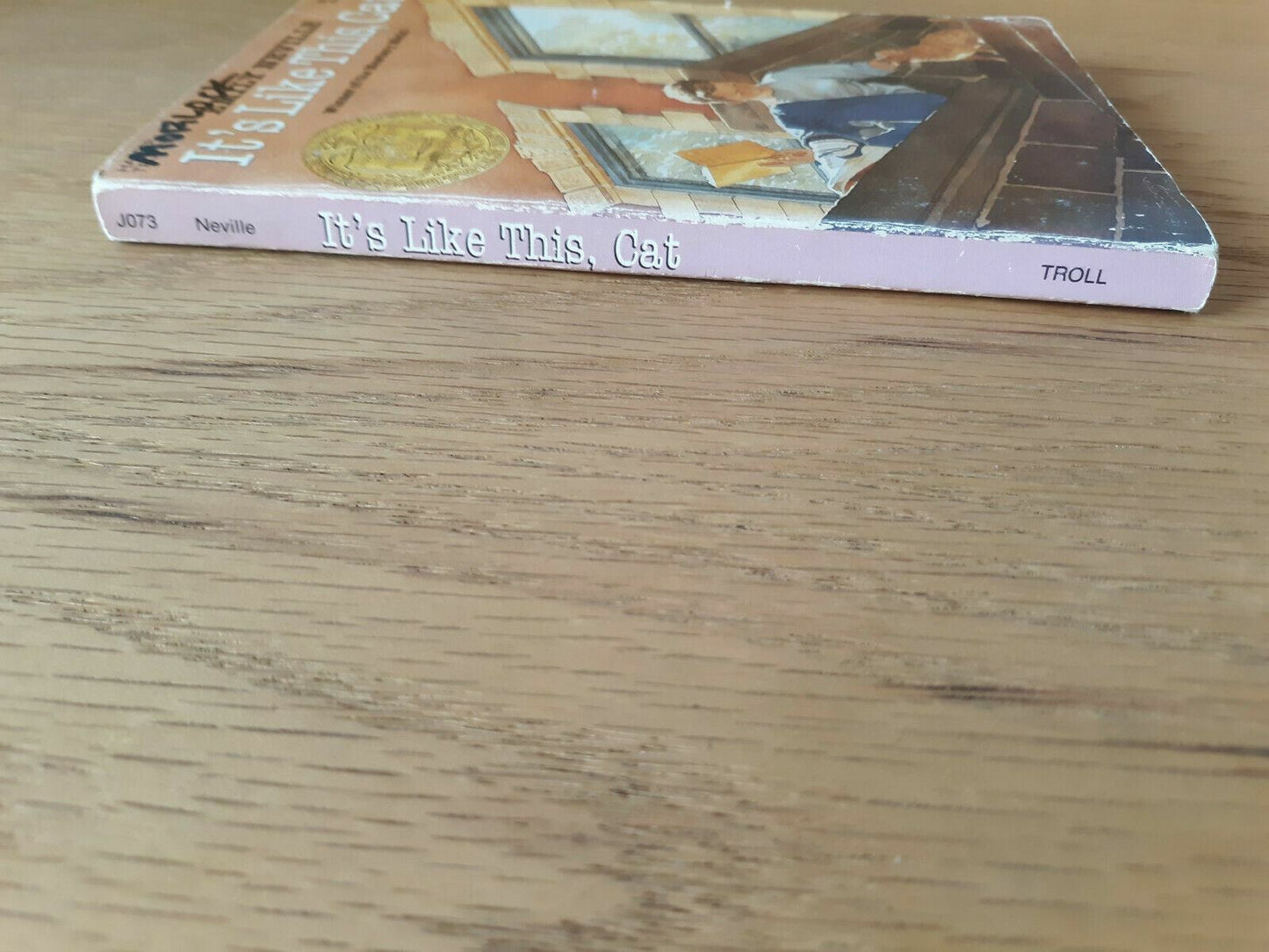 1963 Paperback It's Like This, Cat by Emily Neville